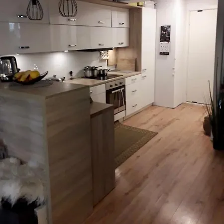 Apartment 2-bedroom With A Pleasant Outdoor Area Fredrikstad